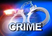 Two Arrested For Auto Theft In Warsaw