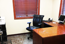 Deer Crashes Through Window of Law Office