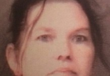 Lisa Hall Jail Booking