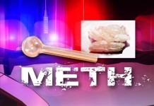 Five Arrested in Claypool Drug Bust