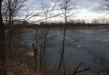 Second body found in Leesburg quarry after ice fisherman’s body found Sunday