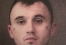 Brady Shepherd Jail Booking