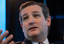 Ted Cruz app data collection helps campaign read minds of voters