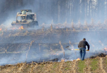 Four Acres Damaged in Field Fire