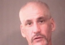 Bronson Gets One Year on Cocaine Charge