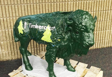 Manchester School Designing Bison for Bicentennial