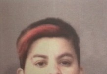 Brena Avelina Jail Booking