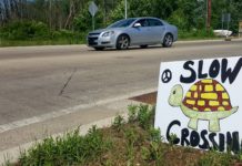 Turtle Crossing Signs Back Again This Year