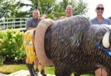 Winona Lake Bison Headed To State Fair