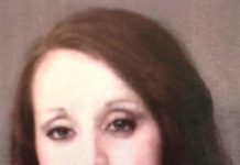 Erin Renee Briseno Jail Booking