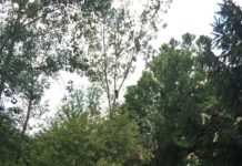 Victim’s Names Released from Claypool House Explosion