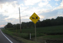 Five hospitalized after buggy crash in LaGrange County