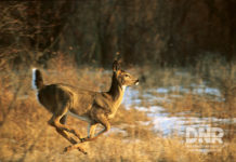 Participants sought for Community Hunting Access program