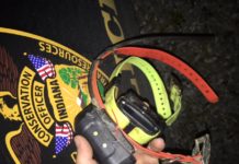 DNR arrest Milford man for killing hunting dog