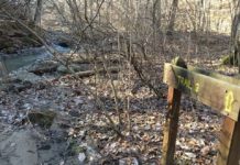 Fall camping more affordable with offer from Indiana State Parks