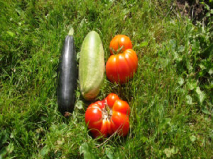 produce-300x225