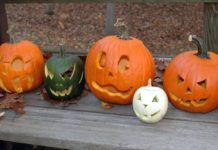8 pumpkin carving tips to make your porch really gourd