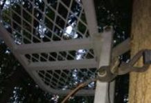 Elkhart man injured after fall from tree stand in Marshall County