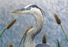 Annual Center for Lakes & Streams art contest seeks entries