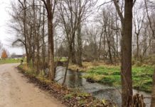 One dead after pickup truck partially submerges in Elkhart River