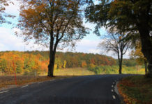 DNR: Unseasonably warm fall delays full range of fall colors