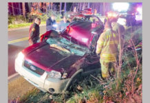 Tree vs. SUV on SR 25
