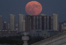 Brightest moon in almost 69 years lights up sky around