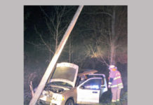 Van Hits Pole To Avoid Deer