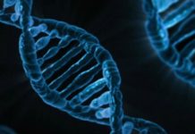 Indiana State Police lab processing far more DNA samples in 2018