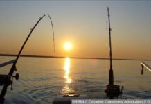 Indiana’s Free Fishing Weekend this Saturday and Sunday