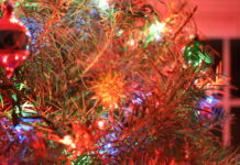 Safe ways to dispose of your live Christmas tree