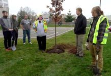 NIPSCO planting and giving away trees for National Arbor Day