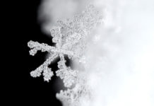 Postal Service asks customers to clear snow and ice from sidewalks, porches and mailboxes