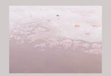 Center For Lakes And Streams Determines Discoloration In Center Lake Due To Algae