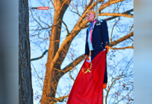 Large Trump doll hanging from tree draws concern in Fort Wayne