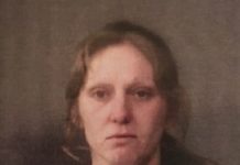 Lee Ann Lowrance Jail Booking