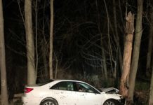Leesburg Man Dies in Early Morning Crash