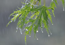 Heavy rainfall expected in Kosciusko County