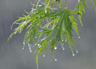 More heavy rain expected today; Flood watch stretches across northern half of state
