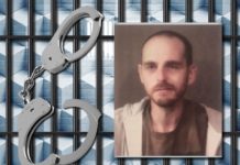 Man hits police car at end of chase during Milford Fest