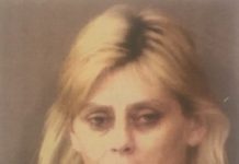 Shelby Ann Shepherd Jail Booking