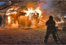 11 animals lost in weekend fire at Warsaw animal rescue