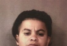Avelina Brena Jail Booking