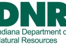 DNR makes annual permits available in time for holiday shoppers