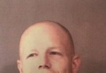 Dale Shepherd Jr Jail Booking