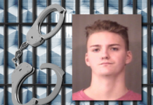 Leesburg teen pleads guilty to four sex felonies