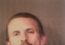 Lesley Henson Jail Booking