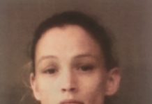 Tara Holbrook Jail Booking
