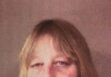 Terry Zerler Jail Booking