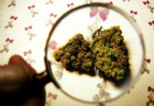 South Bend can now fine synthetic marijuana sellers